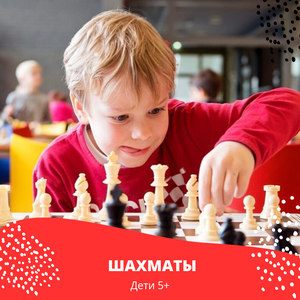 Шахматы