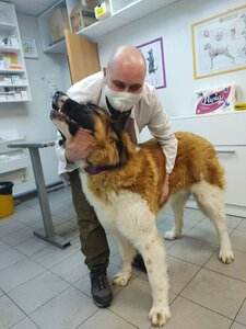 Прием узкопрофильного специалиста
