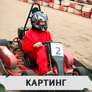 Картинг
