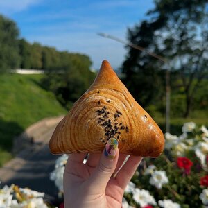Самса с говядиной