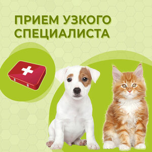 Приём узкого вет. специалиста 