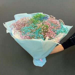 Облачко из гипсофилы