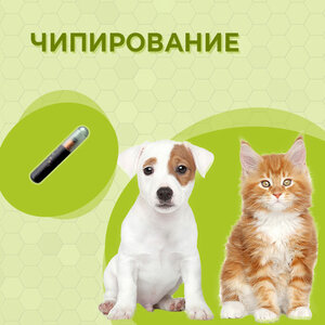 Чипирование животных