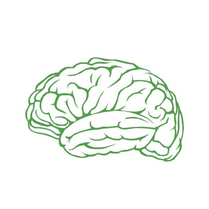 МРТ головного мозга