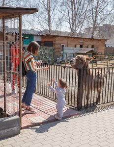 Зоопарк для детей с 3 -10 лет