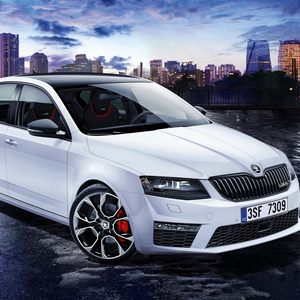 Ремонт автомобилей Skoda