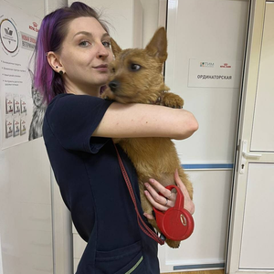 Вакцинация домашних животных