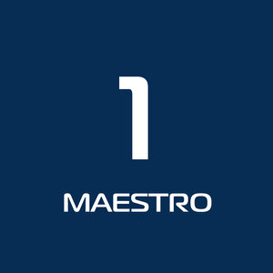 1 MAESTRO-занятие