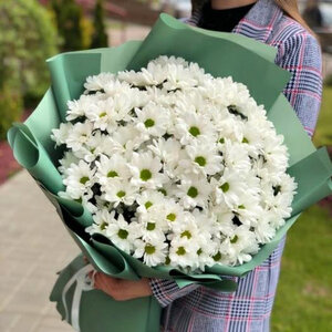 Букет из белых хризантем