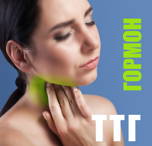 Тиреотропный гормон (ТТГ)