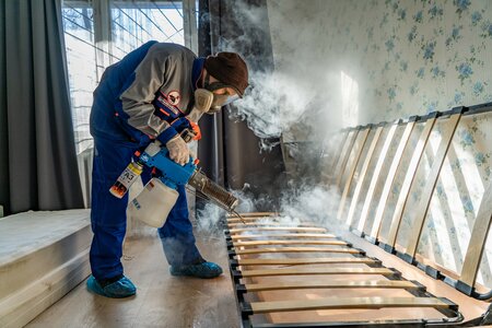 Үнді немесе тайпалық порно