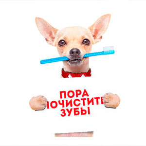 УЗ-чистка зубов