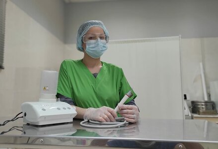 Санация ротовой полости (УЗ-скалером) собакам до 5 кг