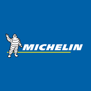 Шины Michelin Pilot Sport 4 XL