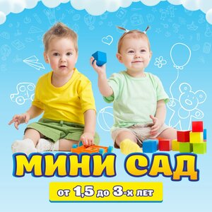 Мини-сад