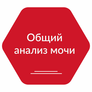 Общий анализ мочи