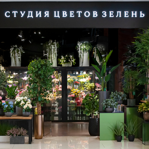 Самый большой в СПб шоурум с растениями