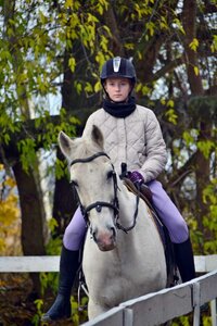Абонемент на 4 занятия по верховой езде