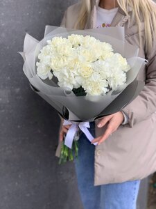 Букет белоснежных диантусов
