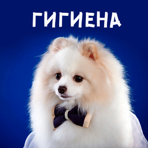 Гигиена