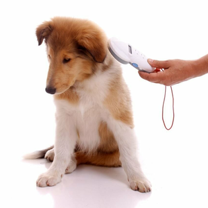 Чипирование с занесением в базу данных Animal Id