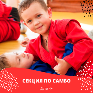 Секция по самбо