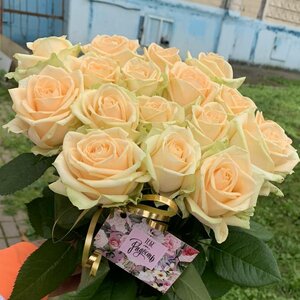 Первоклассная Кремовая роза