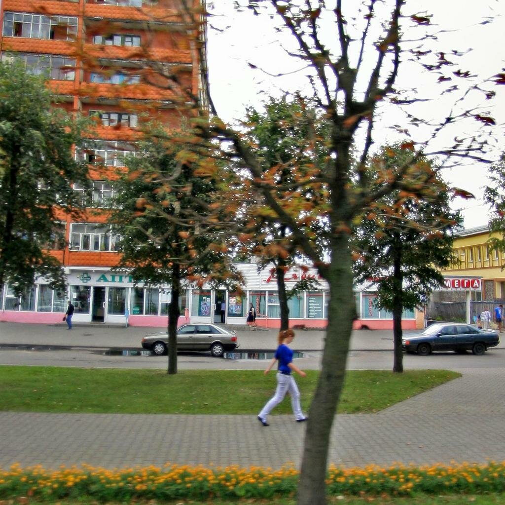 Проспект пушкина могилев карта