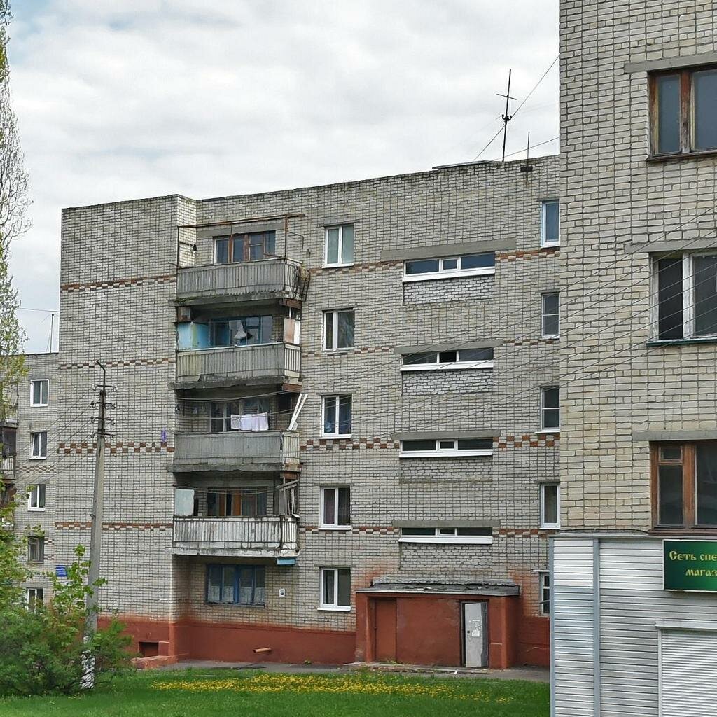 Год постройки дома раевского 20