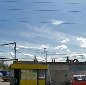 Лада малая балканская 57