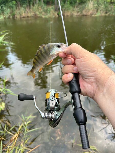 Фото из отзыва пользователя