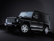 Обогрев сидений Mercedes-Benz G-klasse AMG I (W463)