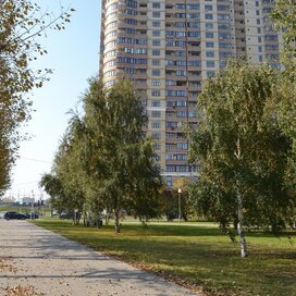 Купить трехкомнатную квартиру рядом с парком в ЖК «Паруса» в Тюмени - изображение 3