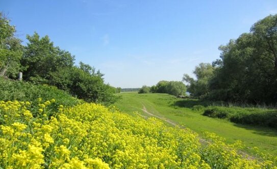 Коттеджные поселки в Воскресенске - изображение 12