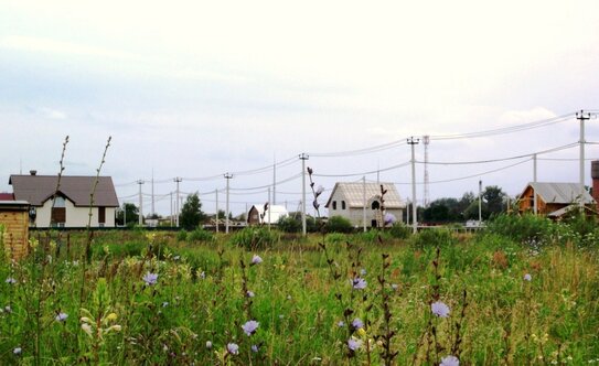 Коттеджные поселки в Московской области - изображение 30