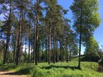Коттеджный посёлок «New Paradise», Выборгский район - изображение 7