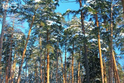 Коттеджные поселки в Выборгском районе - изображение 44