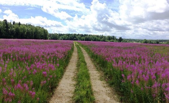 Коттеджные поселки в Московской области - изображение 18