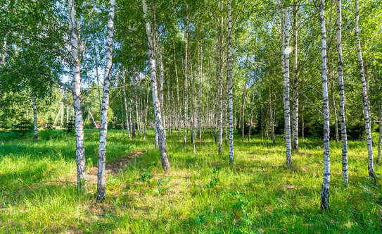 Коттеджные поселки в Московской области - изображение 50