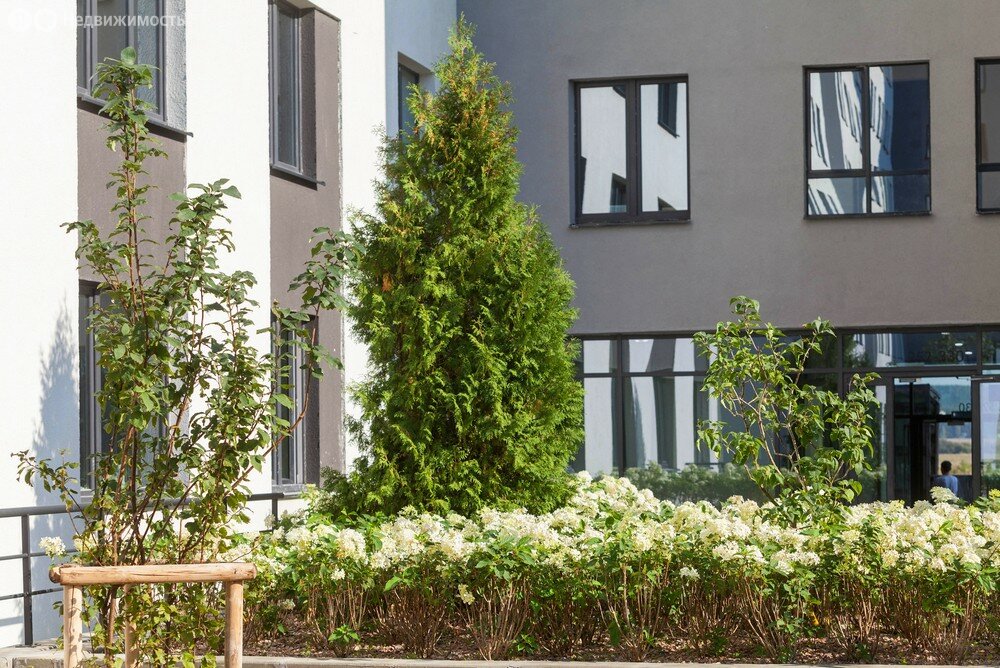 Проекты брусника тюмень