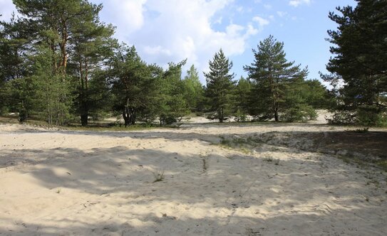 Коттеджные поселки в Московской области - изображение 12