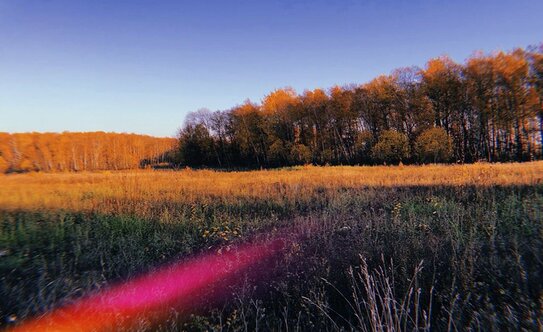 Коттеджные поселки в Московской области - изображение 8