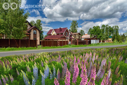Коттеджные поселки в Пушкинском районе - изображение 8