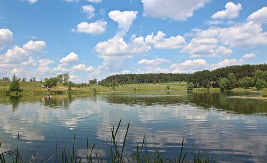 Коттеджные поселки в Московской области - изображение 42