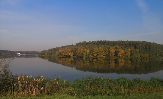 Коттеджные поселки в Московской области - изображение 13