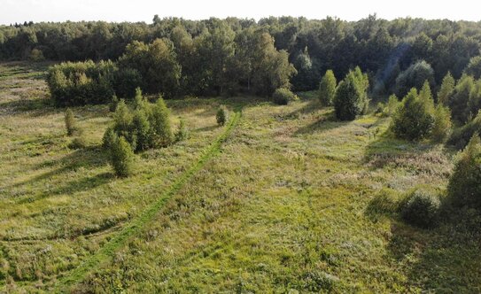 Коттеджные поселки в Московской области - изображение 8