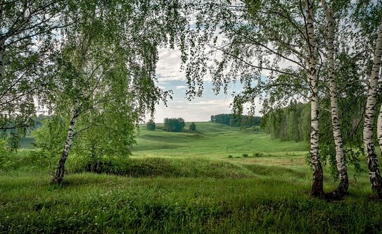 Коттеджные поселки в Московской области - изображение 1
