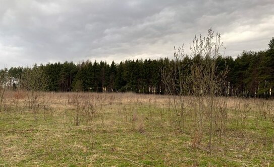 Коттеджные поселки в Московской области - изображение 3