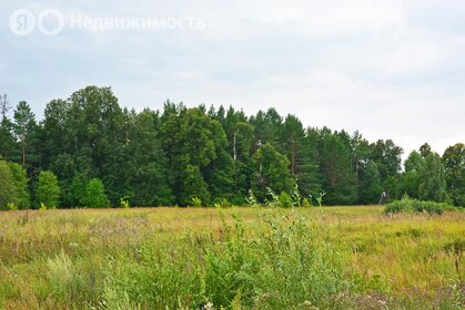 Коттеджные поселки в Республике Татарстан - изображение 34