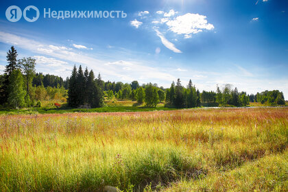 Коттеджные поселки в Городском округе Истра - изображение 34